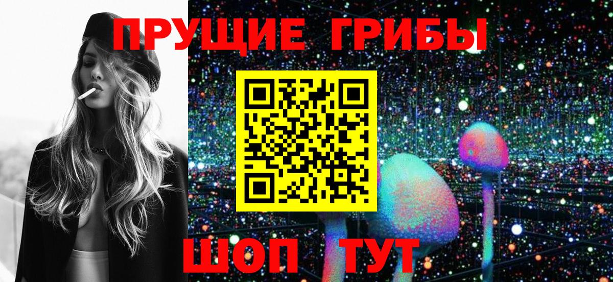 Псилоцибиновые грибы мухоморы  закладка  Джанкой  Вход с VPN 